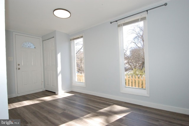 foyer entrance with a healthy amount of sunlight, baseboards, and wood finished floors