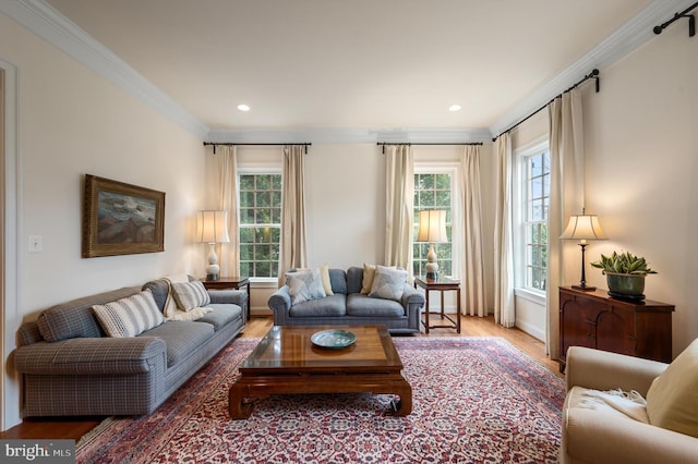 living area featuring plenty of natural light, crown molding, and wood finished floors