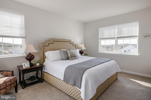 bedroom featuring multiple windows, baseboards, and carpet floors