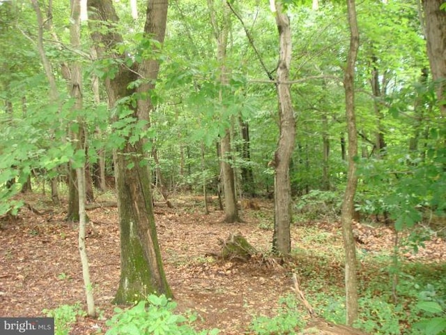 view of landscape featuring a forest view