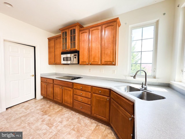 kitchen with a sink, stainless steel microwave, brown cabinetry, black electric stovetop, and light countertops
