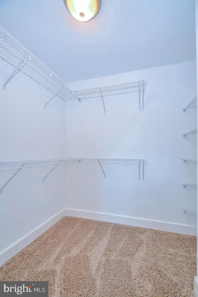 view of walk in closet