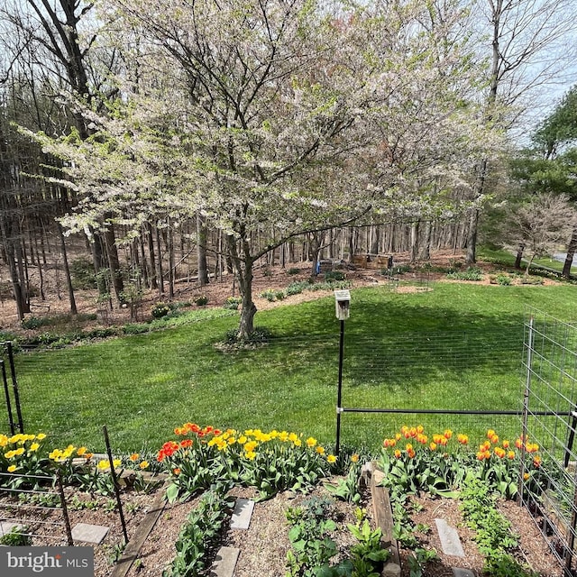 view of yard with a garden