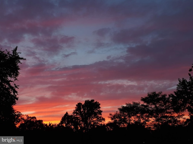 view of nature at dusk