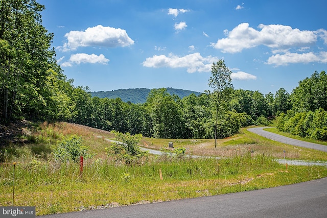 TBD W Glade Trl Lot 82, Blue Ridge VA, 24064 land for sale