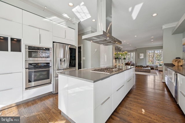 kitchen with a center island, crown molding, island range hood, stainless steel appliances, and modern cabinets