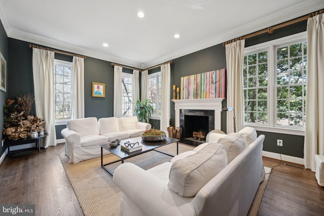 living room featuring crown molding, wood finished floors, and baseboards