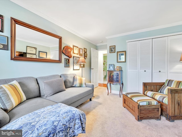 carpeted living area featuring baseboards and crown molding