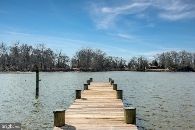 dock area featuring a water view