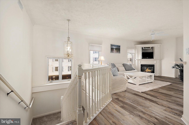 living area with baseboards, ceiling fan with notable chandelier, wood finished floors, a glass covered fireplace, and a textured ceiling