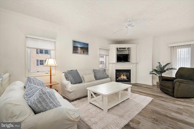 living room with a glass covered fireplace, a ceiling fan, wood finished floors, and a textured ceiling