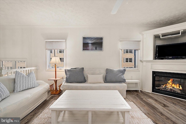 living room featuring a ceiling fan, a textured ceiling, a glass covered fireplace, wood finished floors, and crown molding