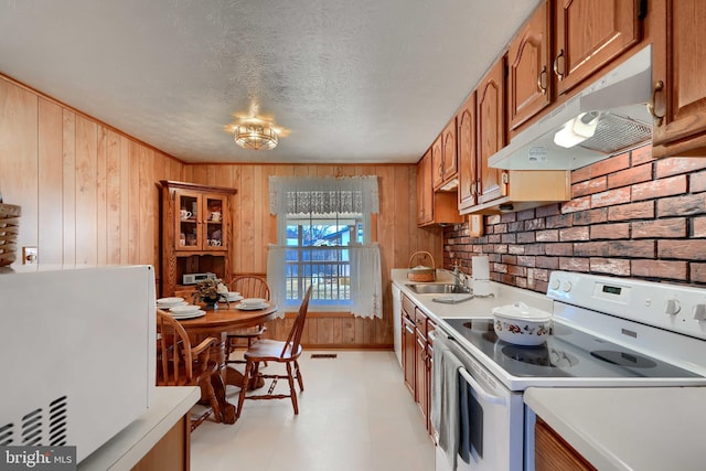 kitchen with white electric stove, under cabinet range hood, light countertops, and a sink