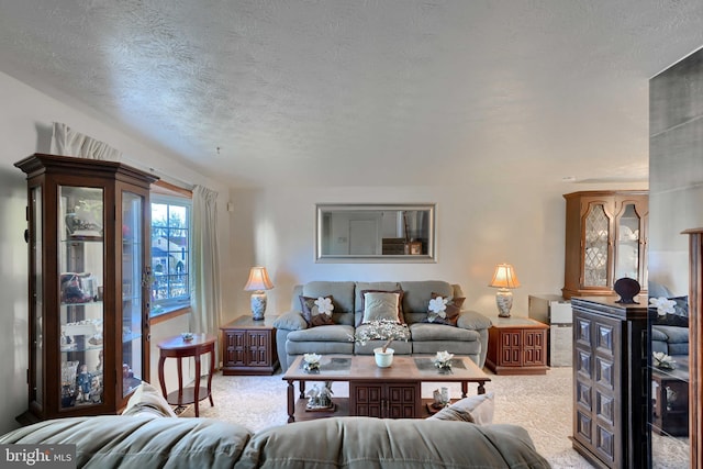 living room with carpet floors and a textured ceiling