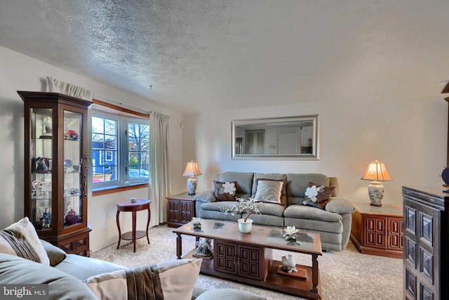 carpeted living area featuring a textured ceiling