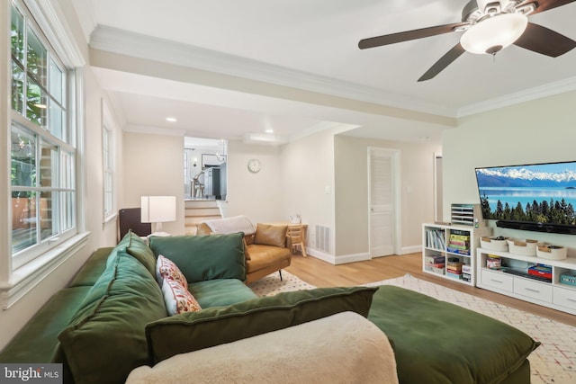 living area with light wood-style floors, visible vents, crown molding, and a ceiling fan