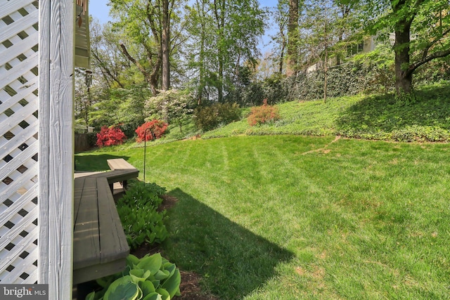 view of yard