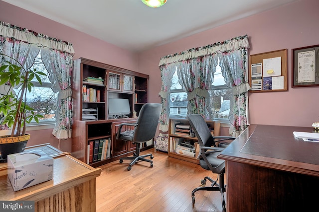 office featuring plenty of natural light and wood-type flooring