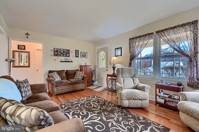 living area featuring wood finished floors