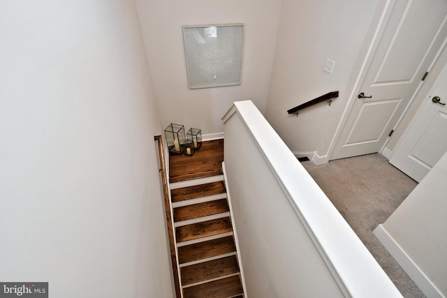 staircase with baseboards and carpet