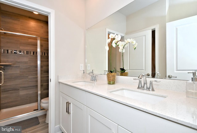 full bath featuring a sink, double vanity, and a shower stall