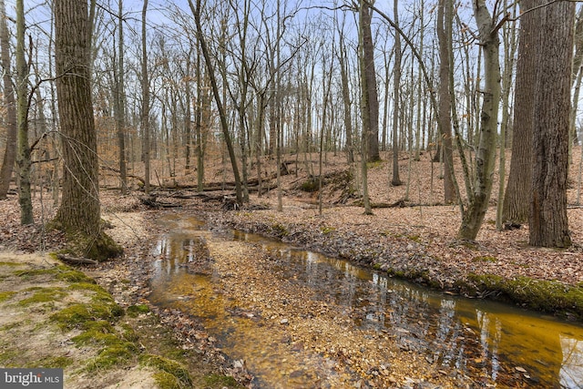 view of landscape