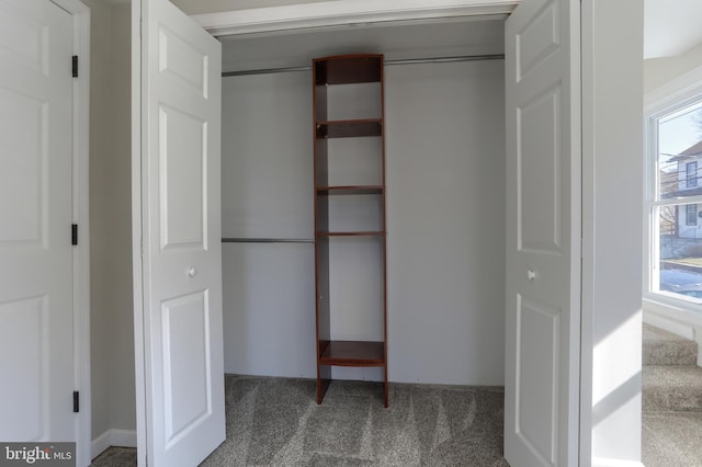 view of closet