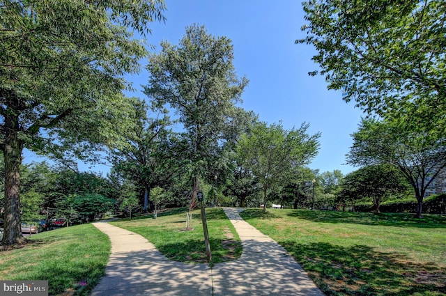 view of home's community with a lawn