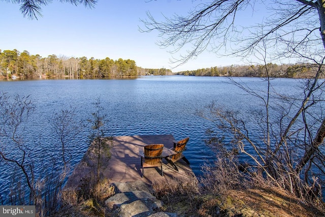 dock area featuring a water view