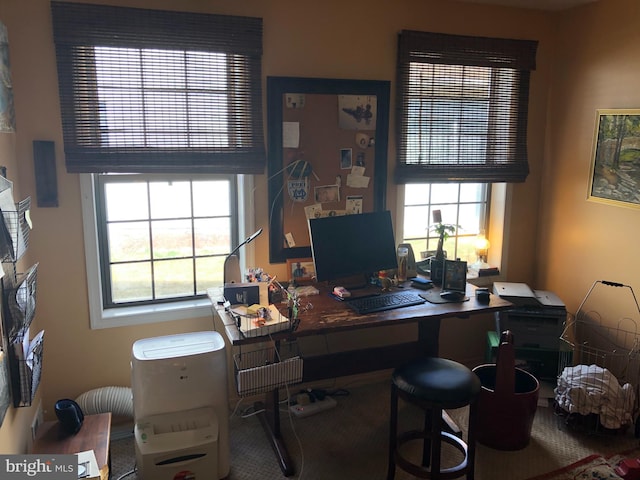 office with a healthy amount of sunlight