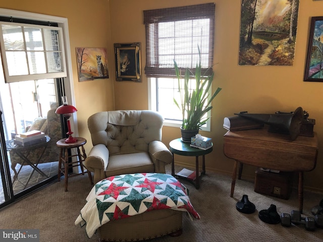 living area featuring baseboards and carpet flooring