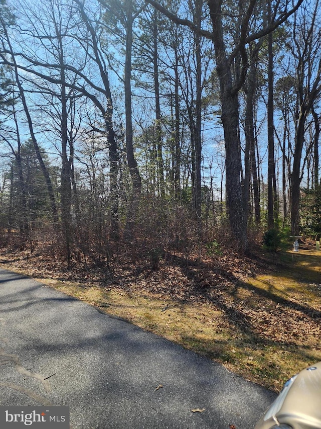 LOT10 Alabama Dr, Frankford DE, 19945 land for sale