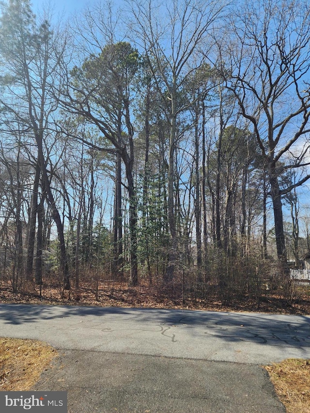 Listing photo 2 for LOT10 Alabama Dr, Frankford DE 19945