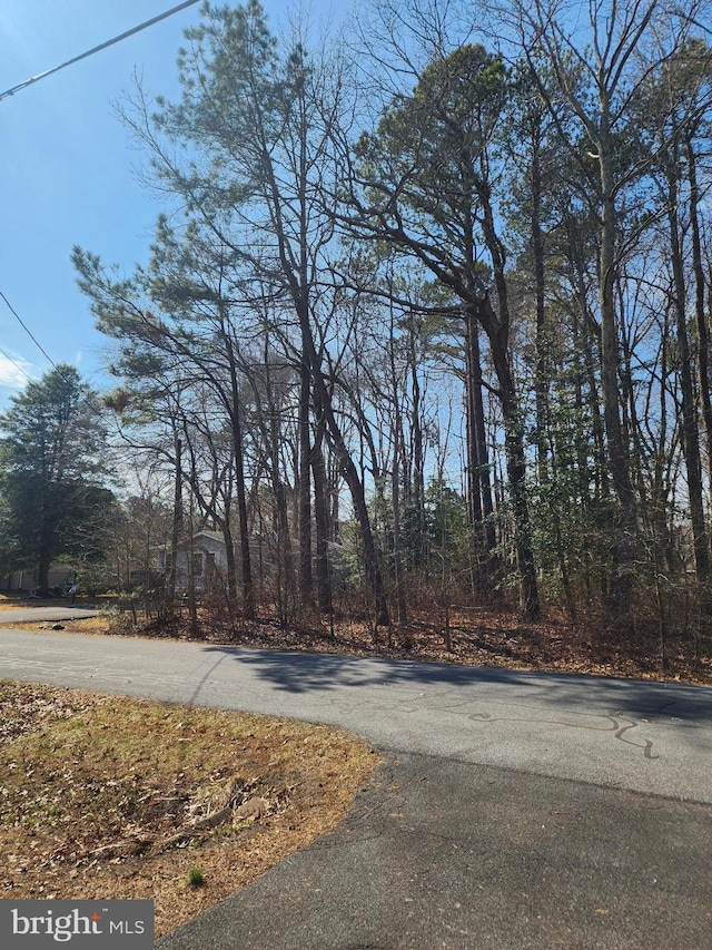 Listing photo 3 for LOT10 Alabama Dr, Frankford DE 19945