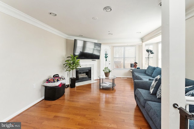 living area featuring a fireplace with flush hearth, crown molding, baseboards, and wood finished floors