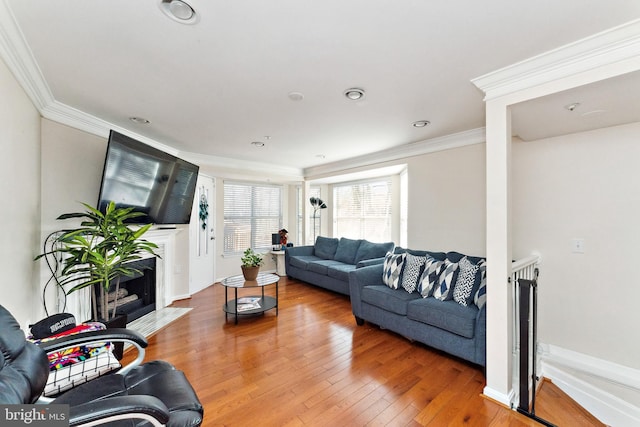 living area featuring light wood-type flooring, a high end fireplace, and crown molding