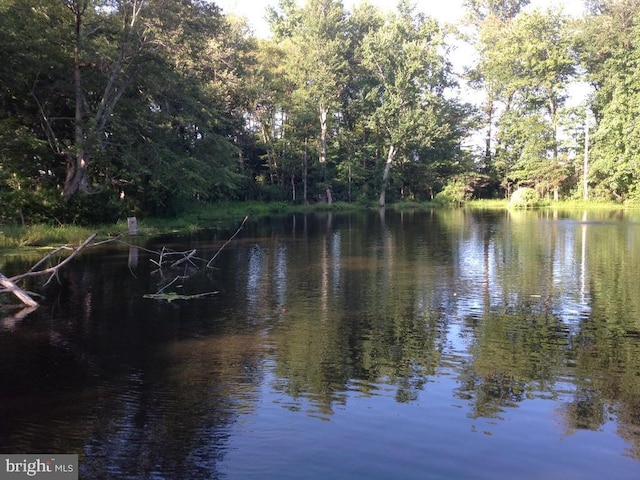 view of water feature featuring a wooded view