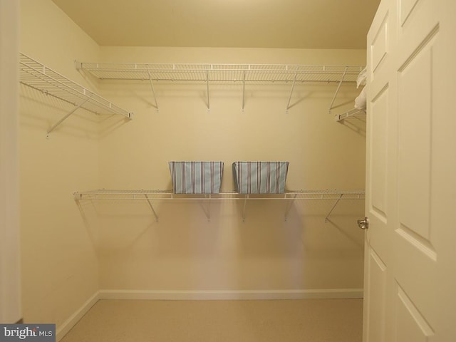 view of spacious closet