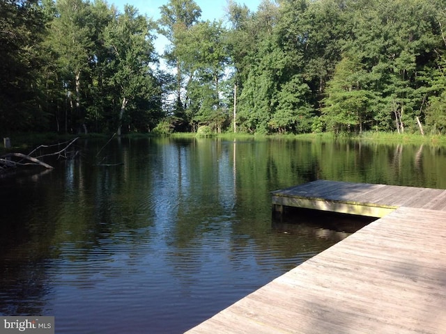 view of dock with a water view