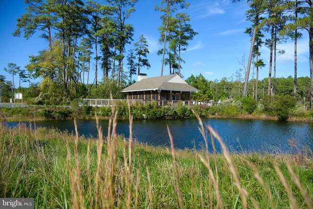 view of water feature