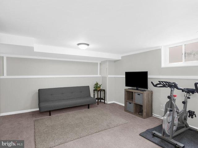 workout area with carpet