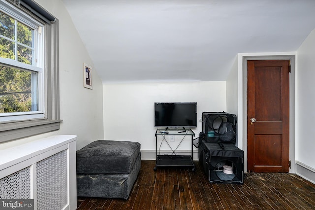 living area with vaulted ceiling, radiator heating unit, and wood-type flooring