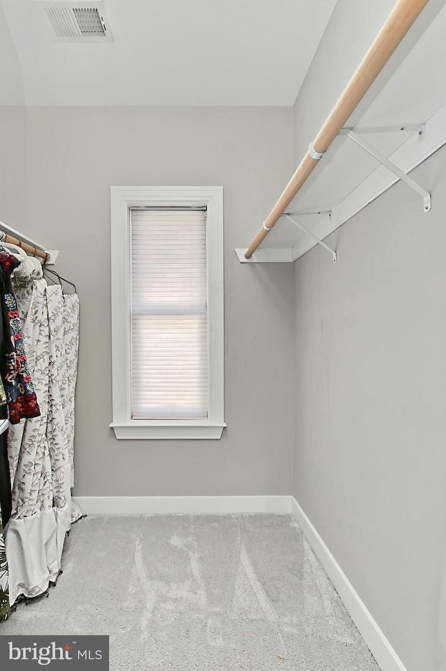 spacious closet with visible vents and carpet floors