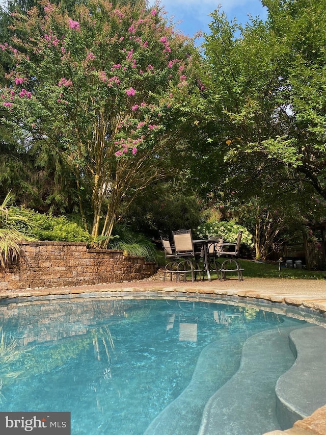 view of swimming pool