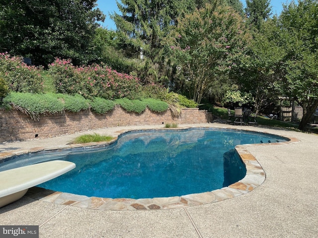 outdoor pool with a patio and a diving board