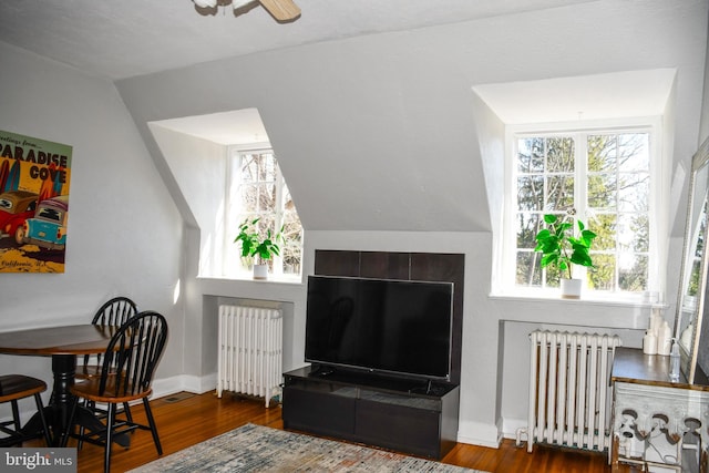 living area featuring radiator, lofted ceiling, and wood finished floors