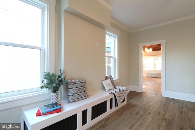 mudroom with baseboards, wood finished floors, radiator heating unit, and crown molding