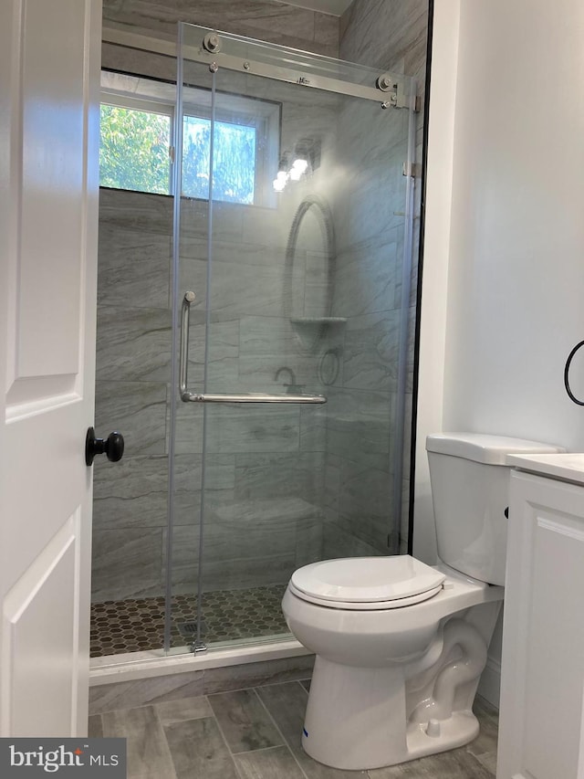 bathroom with a shower stall, toilet, and vanity