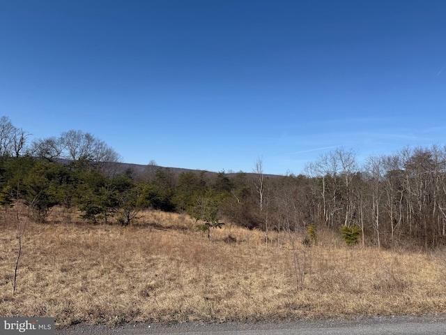 Waugh Rd, Berkeley Springs WV, 25411 land for sale