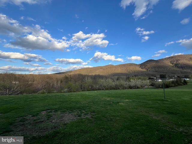 mountain view